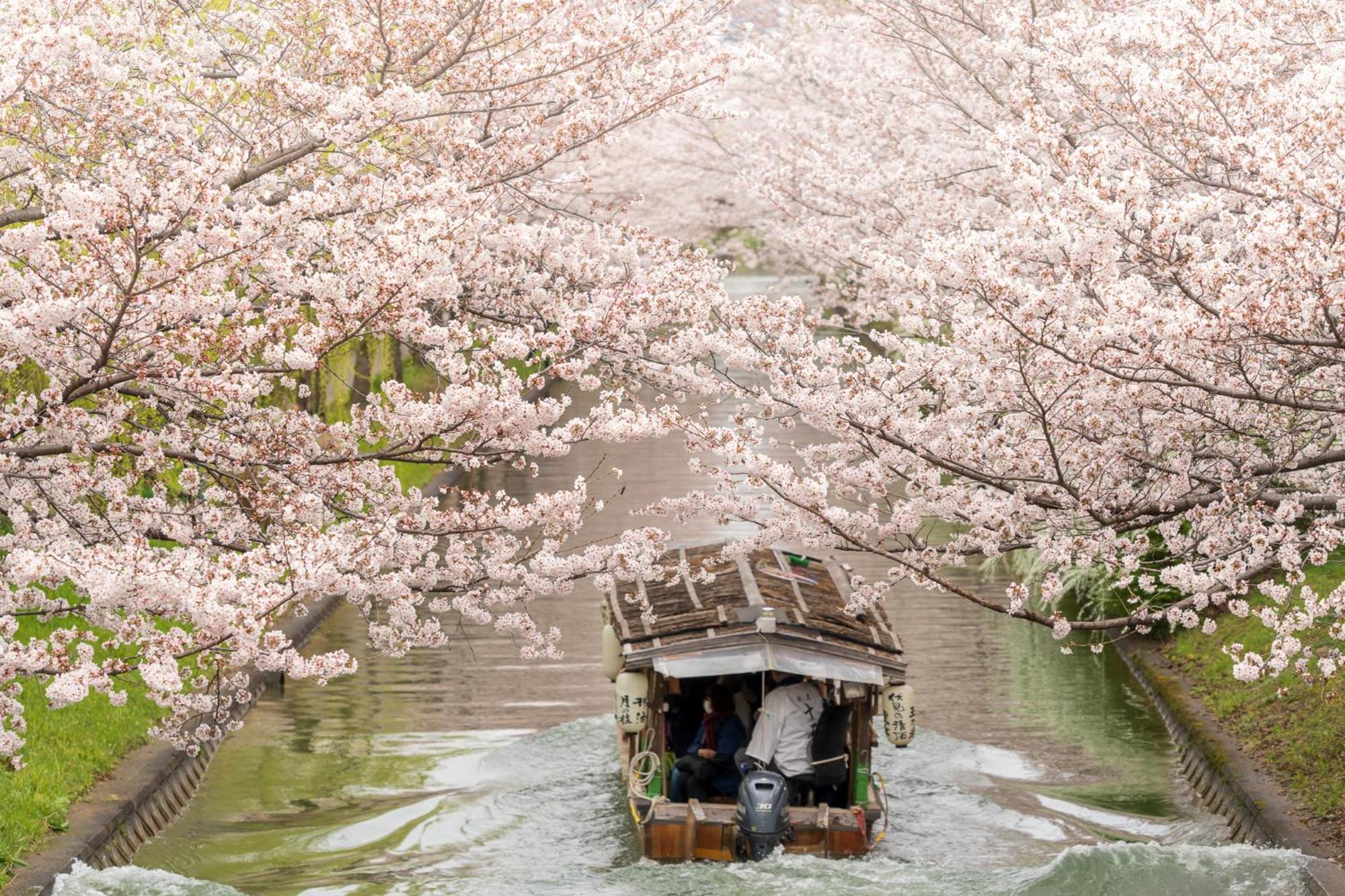 Mimaru Kyoto Nishinotoin Takatsuji, Kyoto